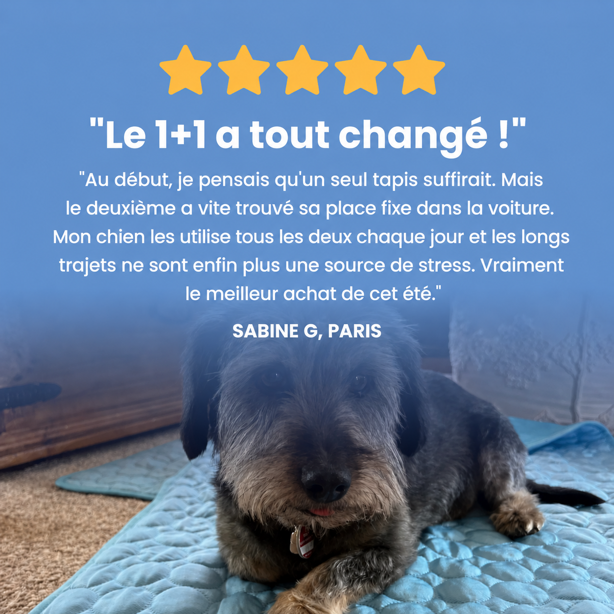 Tapis rafraîchissant Fiabelo