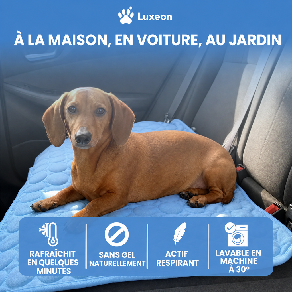 Tapis rafraîchissant Fiabelo