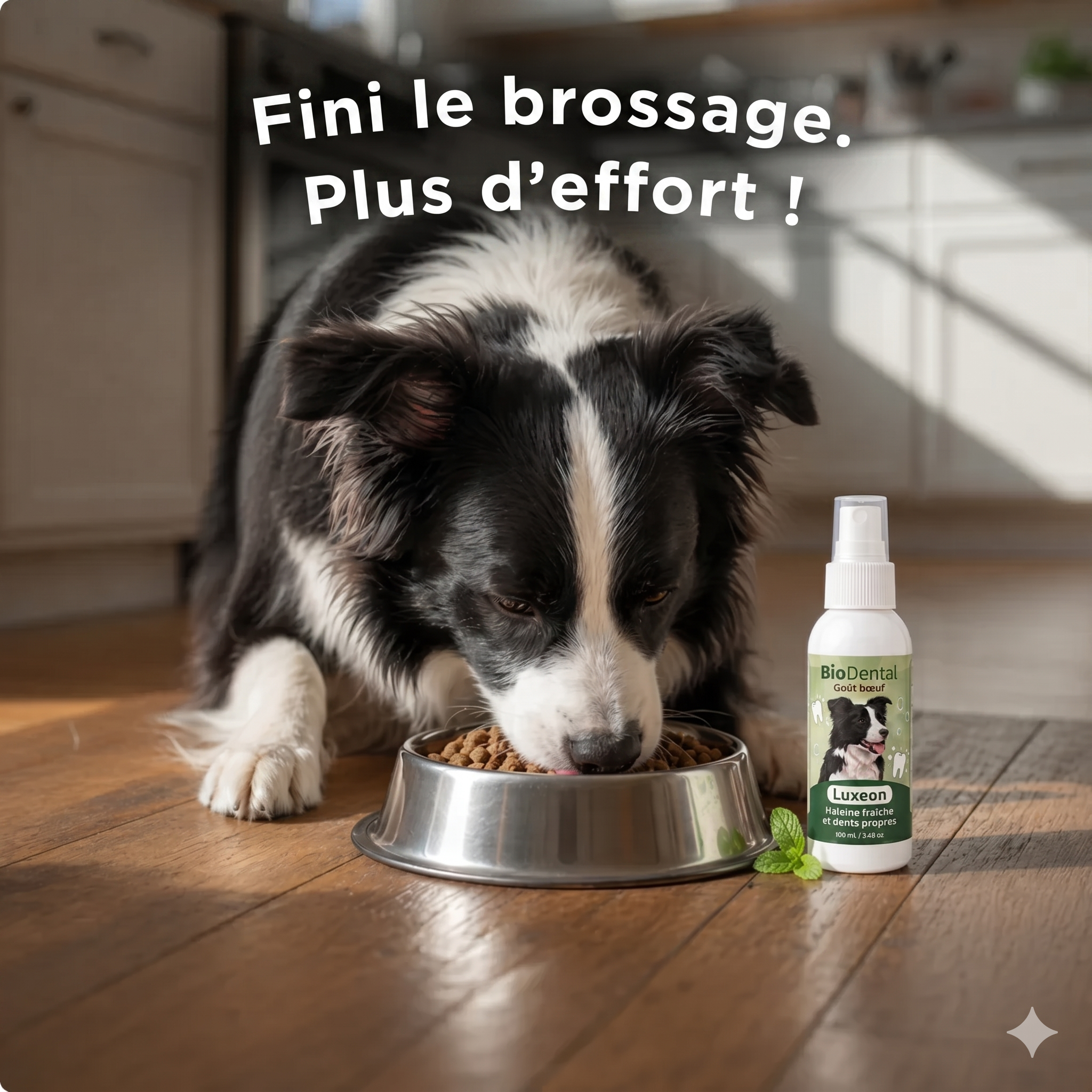 Spray dentaire Fiabelo™