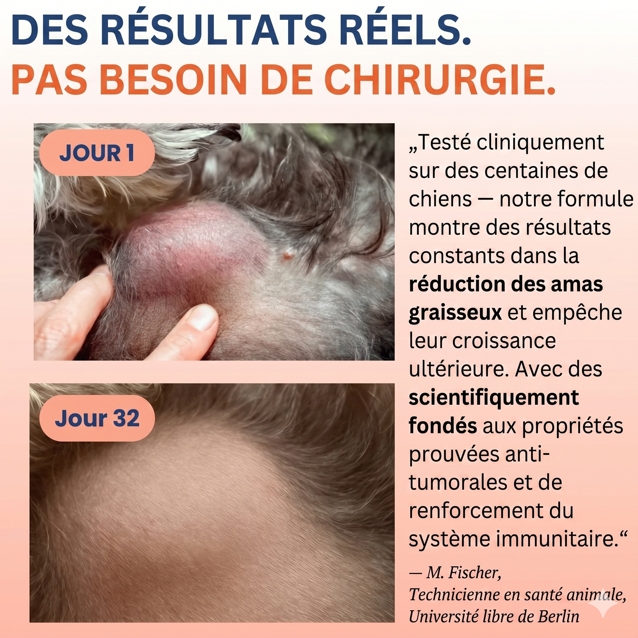 Fiabelo® Champignon médicinal Turkey Tail + Probiotiques