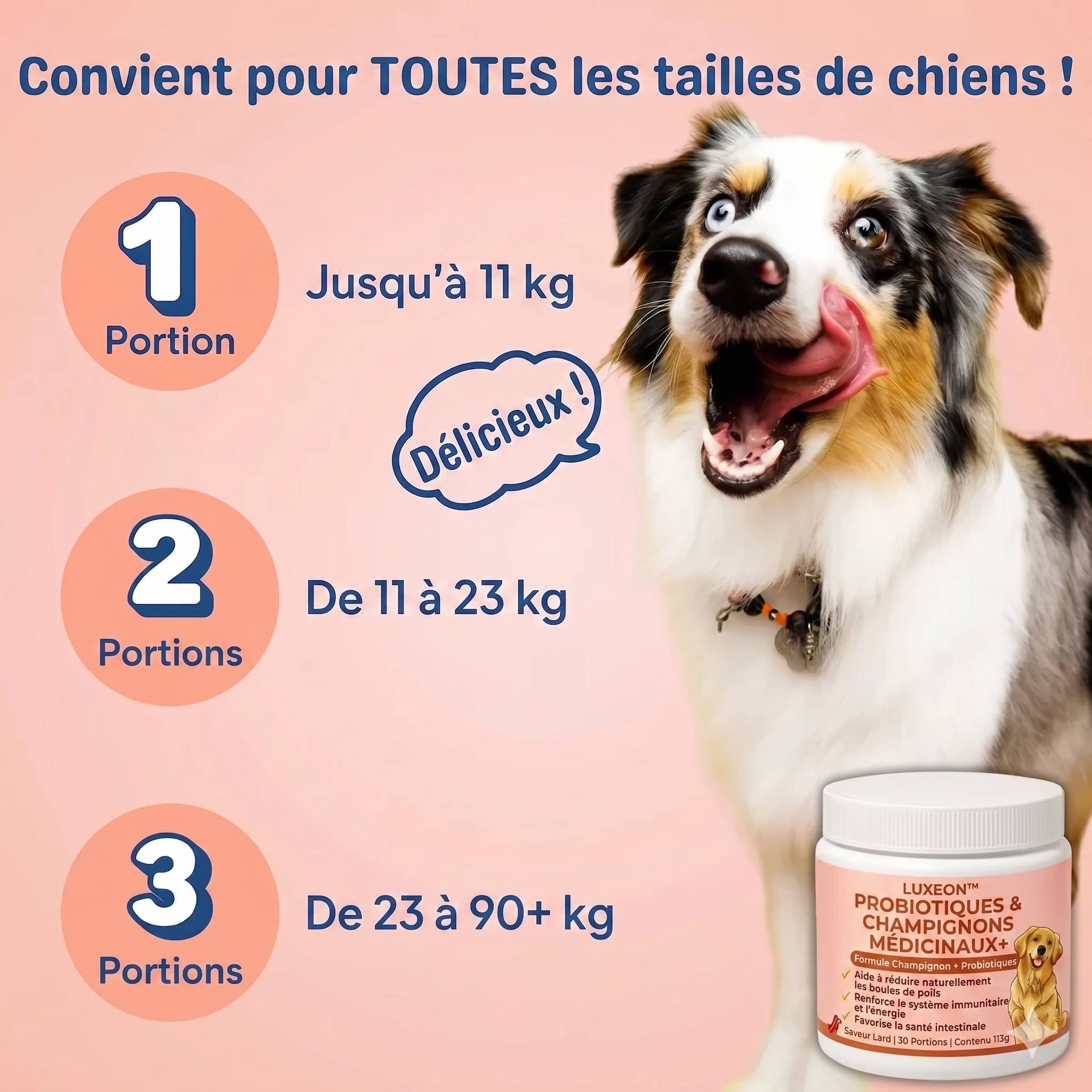 Fiabelo® Champignon médicinal Turkey Tail + Probiotiques
