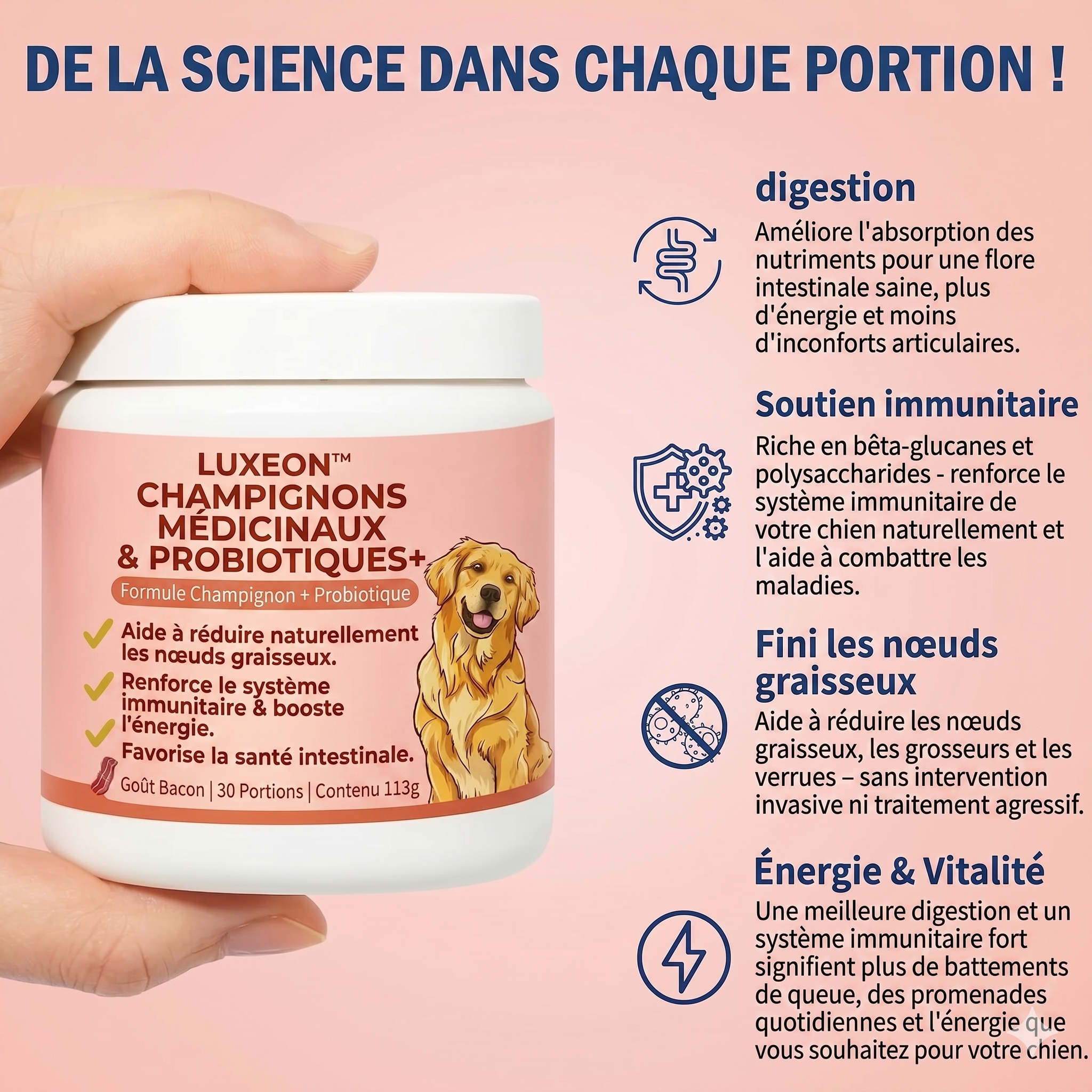 Fiabelo® Champignon médicinal Turkey Tail + Probiotiques