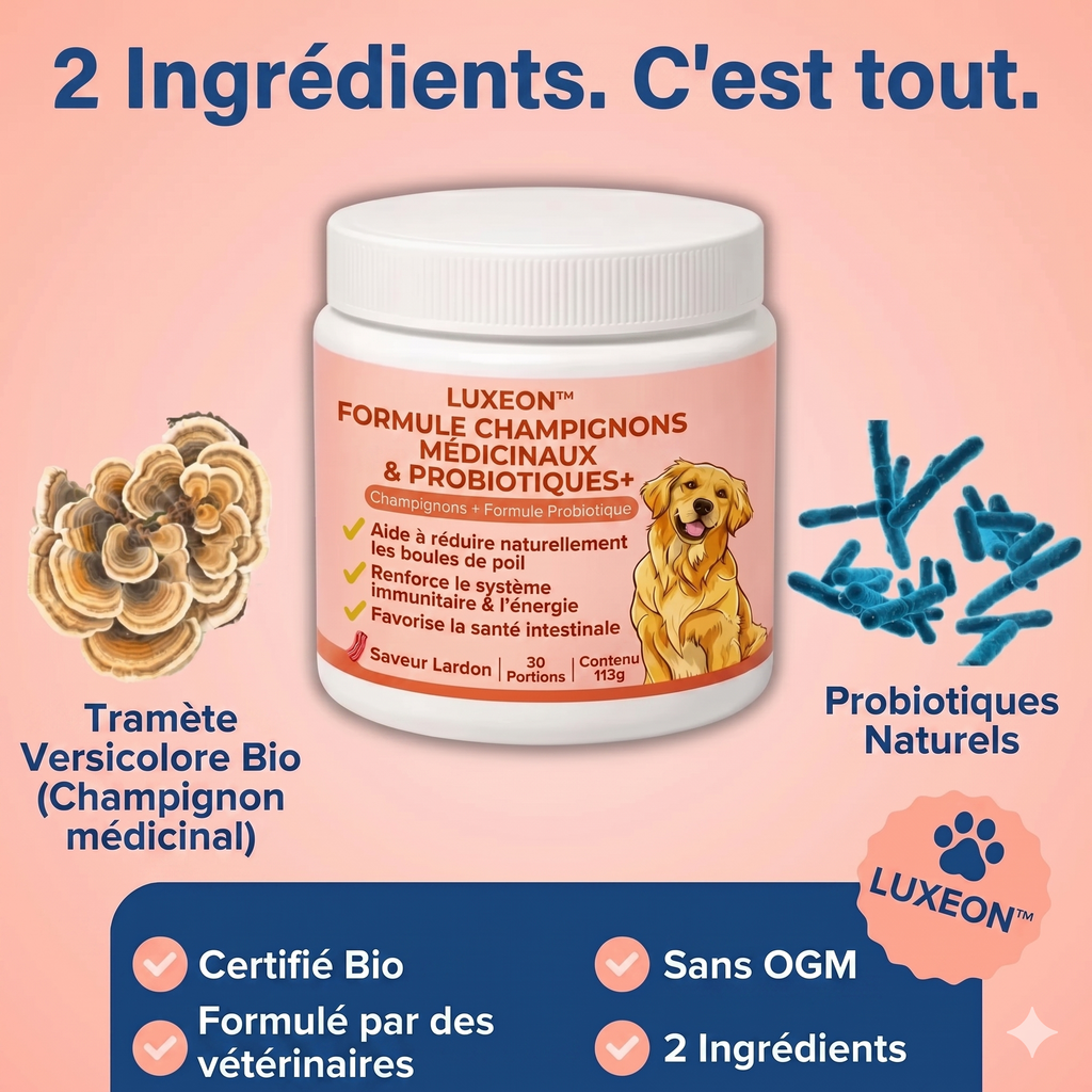 Fiabelo® Champignon médicinal Turkey Tail + Probiotiques
