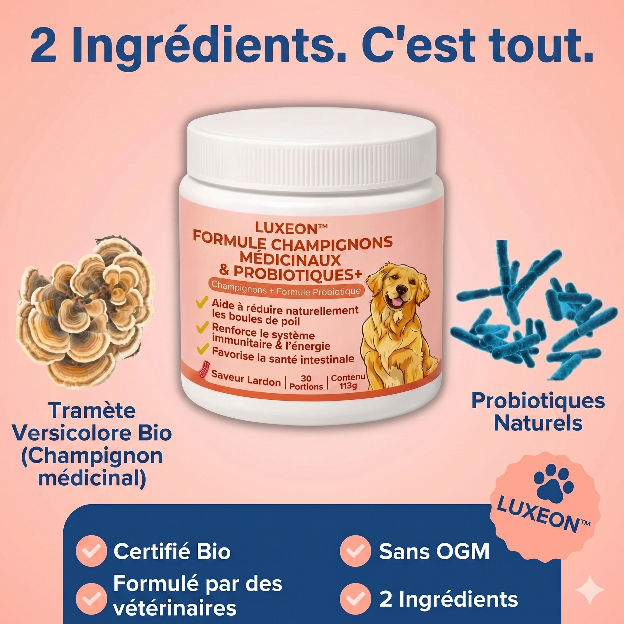 Fiabelo® Champignon médicinal Turkey Tail + Probiotiques
