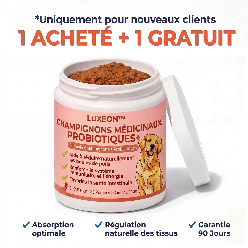 Fiabelo® Champignon médicinal Turkey Tail + Probiotiques