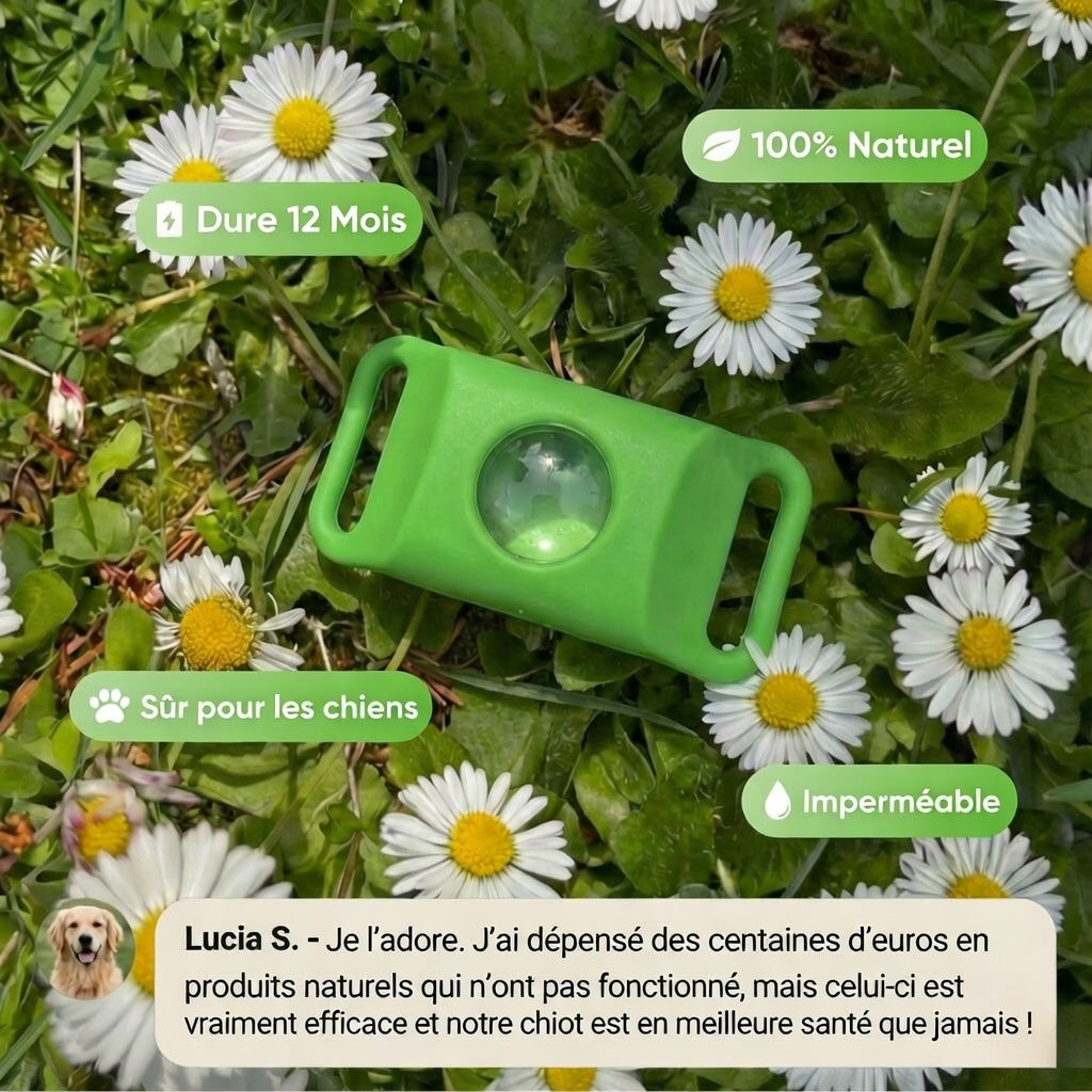 Pendentif Fiabelo™ - 12 mois de protection naturelle pour chiens